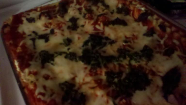 Low Fat Lower Carb Turkey Lasagna ( Whole Wheat Lasagna Noodles) created by broke student