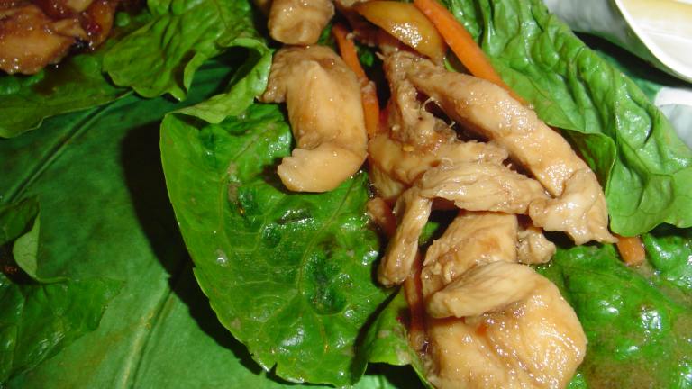 Asian Lettuce Wraps Created by katie in the UP