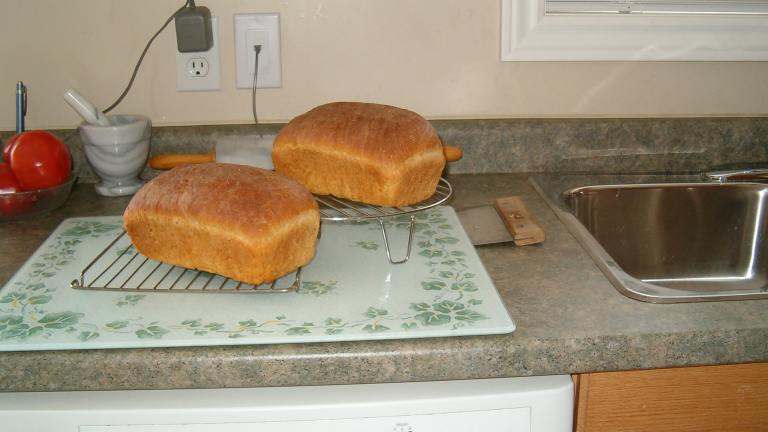 Country Bread created by Sageca