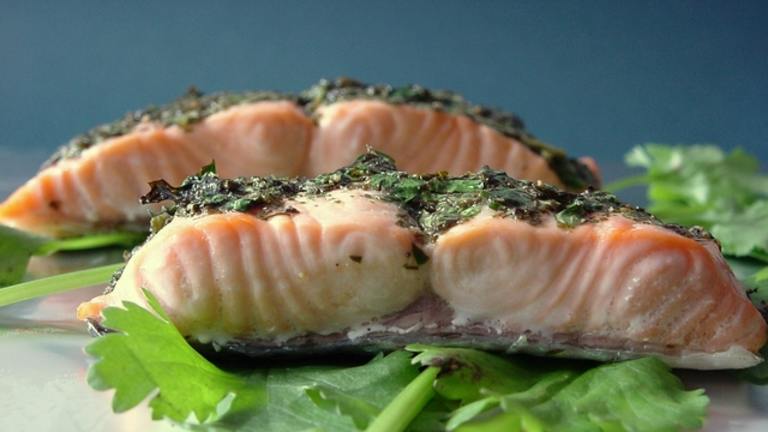 Salmon With Olive Oil & Herbs Created by Thorsten