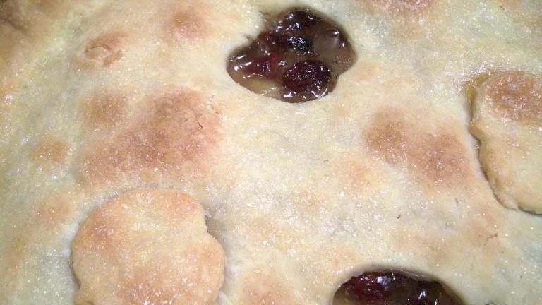 Cranberry-Apple Pie Created by Crafty Lady 13