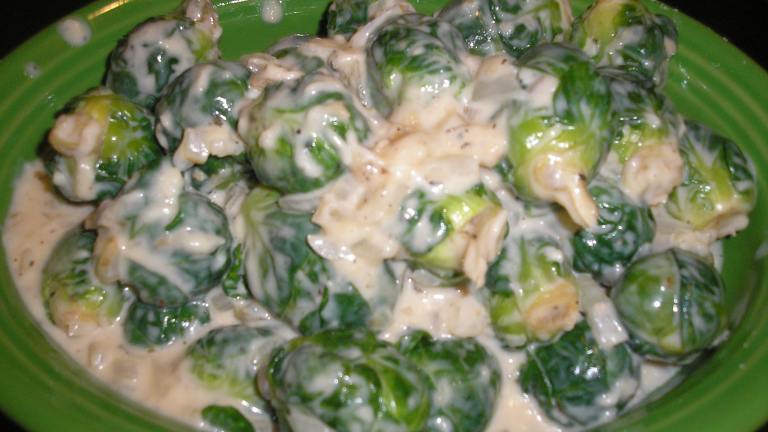 Brussels Sprouts With Onion Alfredo Sauce Created by Queen Dana