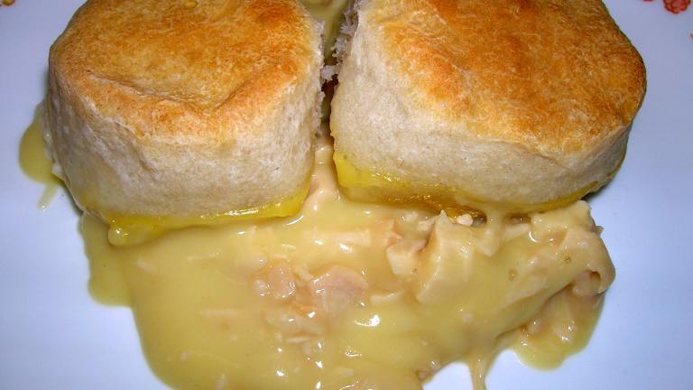 One Dish Chicken  & Biscuit  Bake created by coconutcream