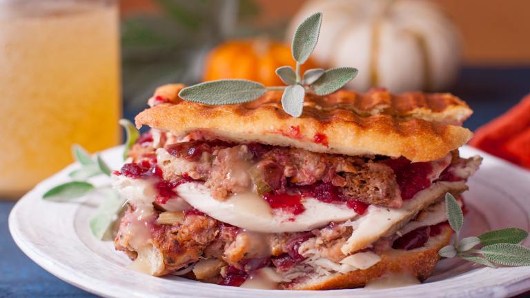 Turkey/ Cranberry/ Dressing Panini Created by DianaEatingRichly