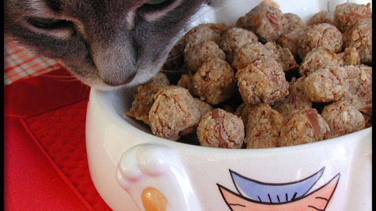 Tabby Tuna Cakes (For Kitty) created by Sandi From CA