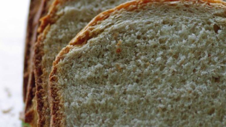 Bread Machine Whole Wheat Bread (Low Fat) created by Redsie