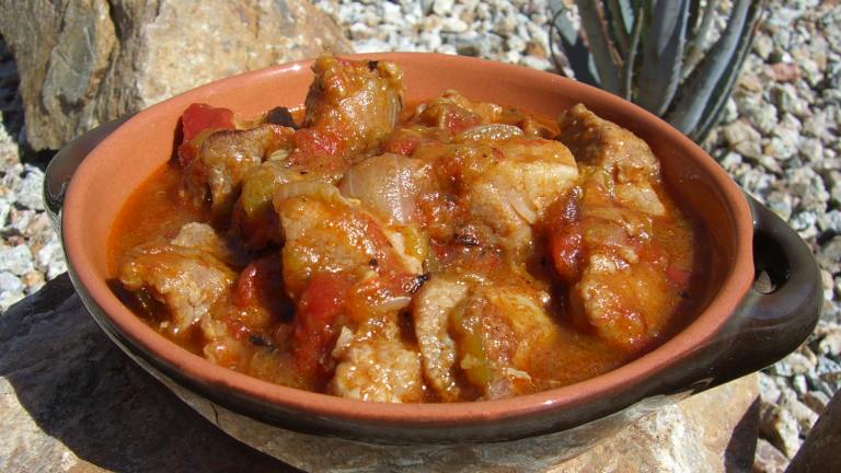 Fay's Green Chile Stew (Chile Verde) created by ChefLee