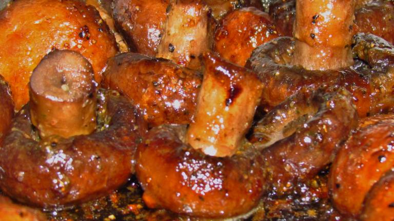 Mushroom Appetizer Recipe - Food.com