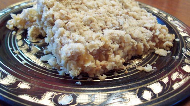 Crunchy Oat Apricot Bars created by Debbie R.