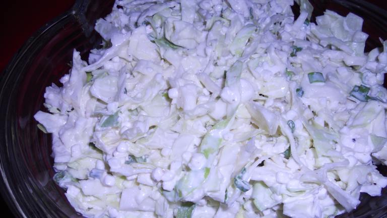 Low Fat Creamy Cabbage and Onion Salad Created by True Texas