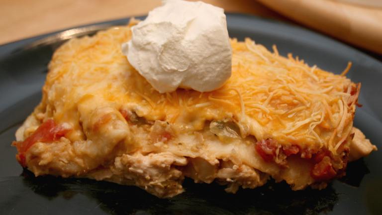 Easy Chicken Enchiladas created by CandyTX