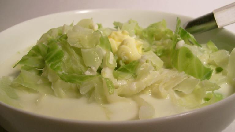 Cheesy Cabbage Created by Sharon123