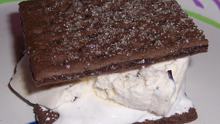 S'mores Chocolate Chip Ice Cream Sandwiches created by looneytunesfan