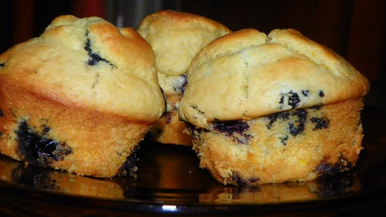 Whole Grain Blueberry Muffins Created by Baby Kato