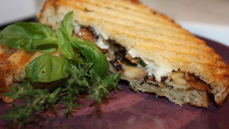 Grilled Wild Mushroom And Brie Cheese Sandwich Recipe 
