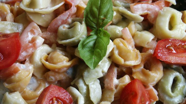 Ravioli Gorgonzola Easy and Good! created by kiwidutch