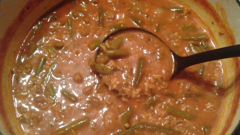 Healthy Hamburger and Green Bean Soup created by pookiexcore