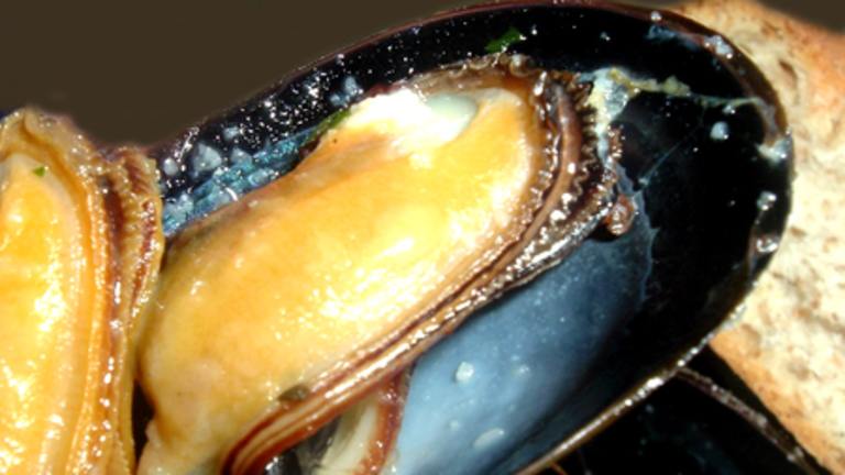Oven Roasted Mussels Created by Bergy