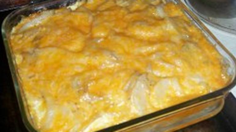 Cheese & Potato Bake (A.k.a. Scalloped Potatoes) Created by Dollarstitch.com