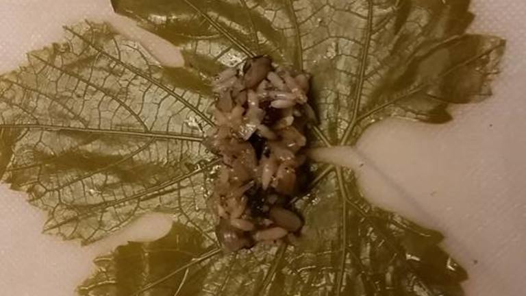 Armenian Stuffed Grape Leaves created by manushag
