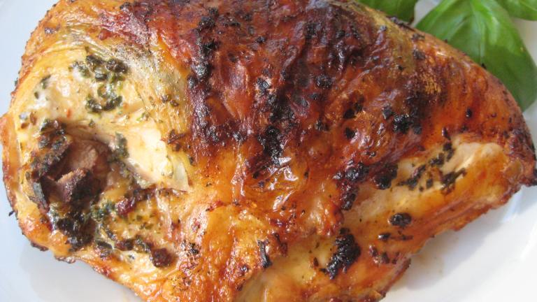 Roast Turkey Breast With Chipotle-Herb Rub Recipe created by gailanng