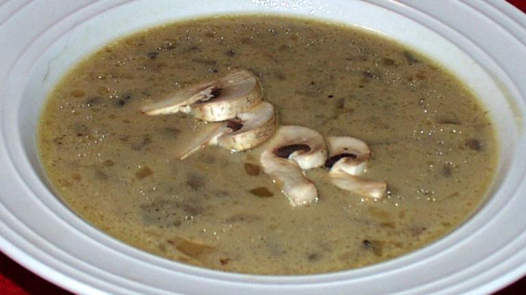 Coconut Cream Mushroom Soup in Da' Crock Pot Created by twissis