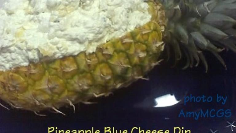 Pineapple Blue Cheese Dip created by AmyMCGS