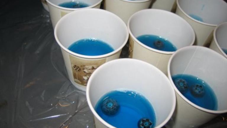 Base Jello Shots Recipe With Fruit Floaters created by Demandy