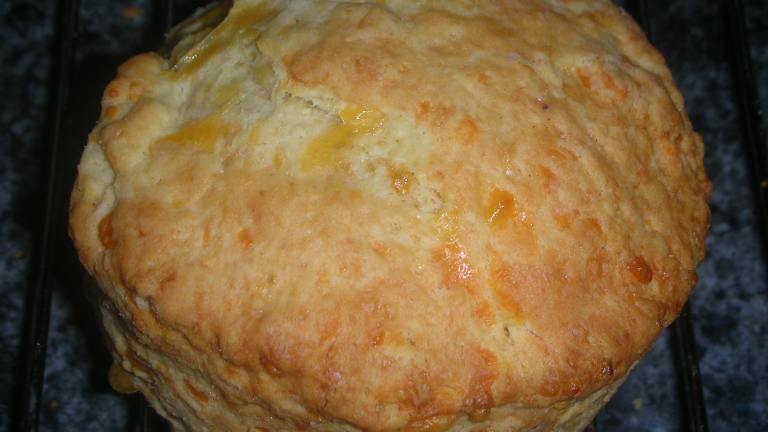 Golden Cheddar Cheese Scones Created by byZula
