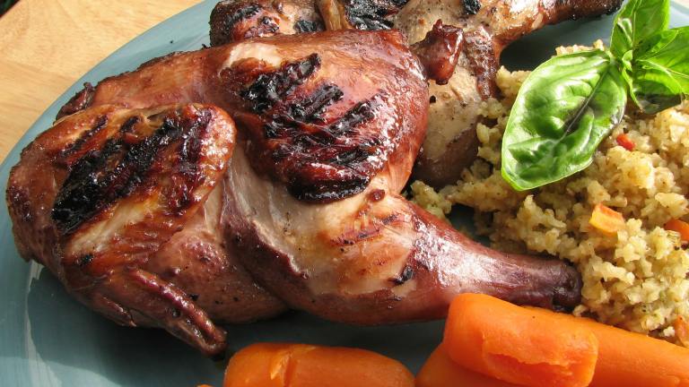 Hoisin Marinated Grilled Cornish Game Hens Created by lazyme