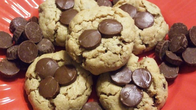 Double Chocolate Peanut Butter Cookies Created by HokiesMom