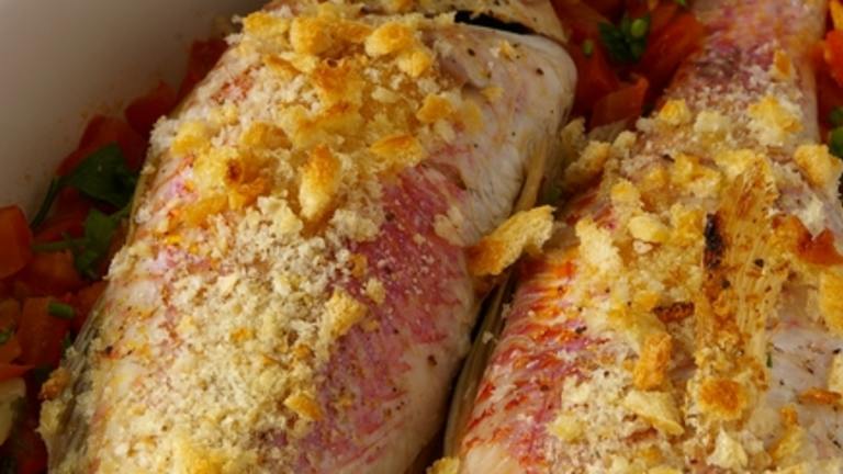 Baked Red Mullet in Corsican Style created by Thorsten