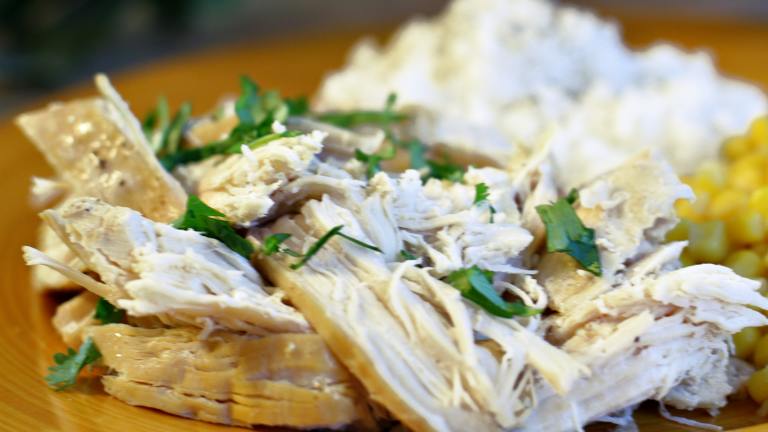 South of the Border Crock Pot Chicken created by CulinaryExplorer