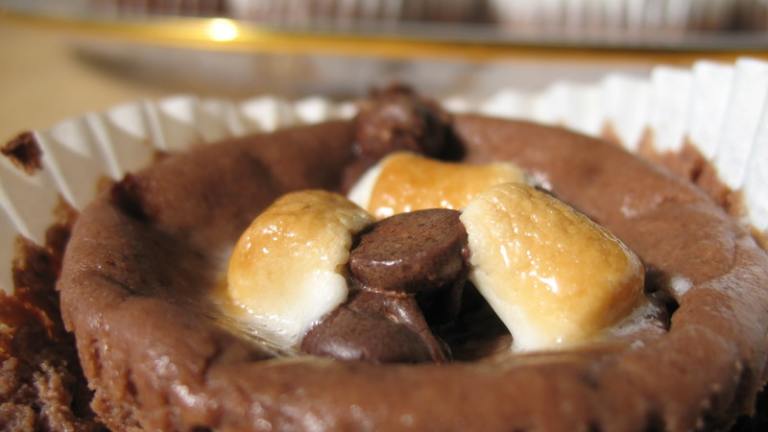 Rocky Mountain Mini Cheesecakes (Light) created by Redsie