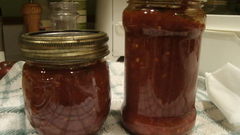 Ancho Chile Tomato Sauce created by Catnip46