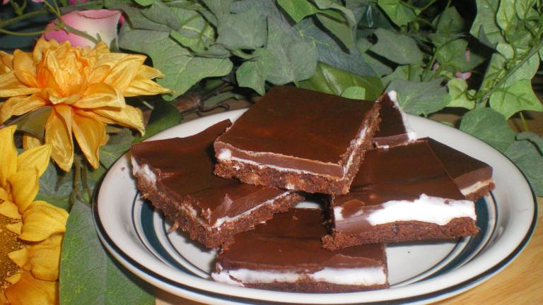 Chocolate Peppermint Slice Created by Julie Bs Hive