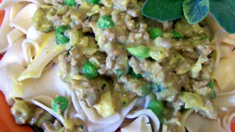 Ground Turkey With Creamy Squash Sauce  over Noodles Created by Rita1652