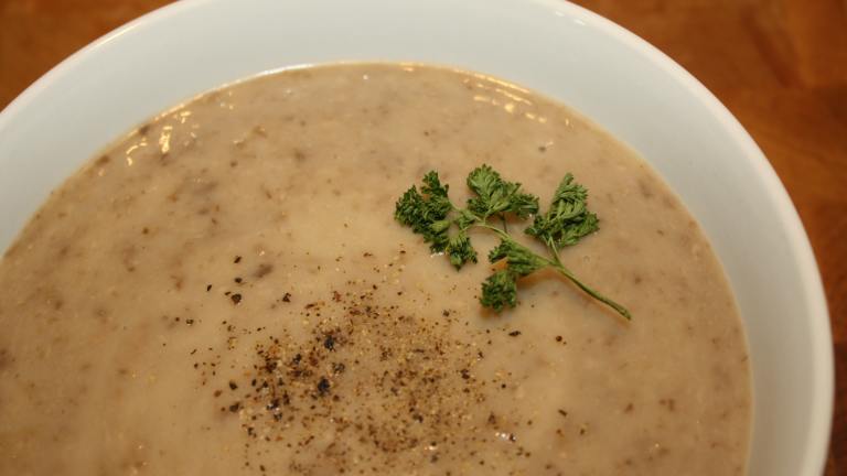 Cream of Portabella Soup created by queenbeatrice