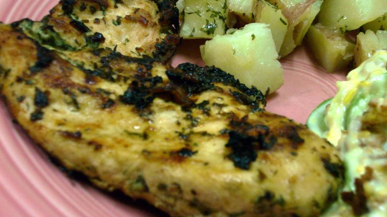 Grilled Mustard and Herb Chicken created by loof751