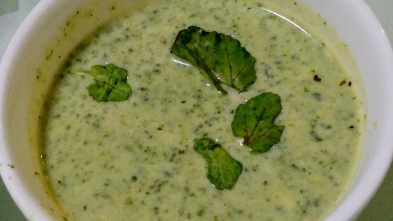 Cream of Watercress Soup Created by Jasmine T.