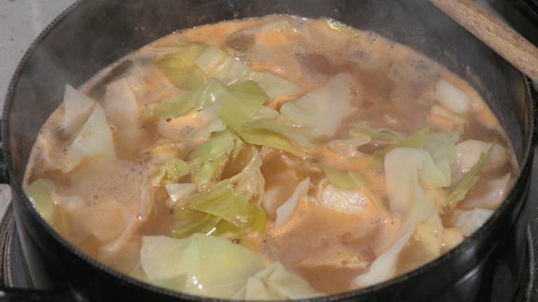 Croatian Cabbage Stew ( Prisiljeno Zelje”) Created by nitko