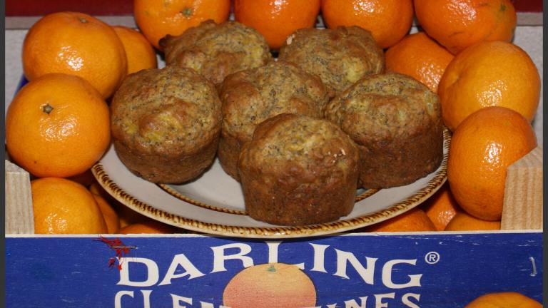 Clementine Poppy Seed Muffins created by lynmoz