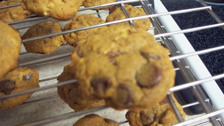 Pumpkin Oatmeal Chocolate Chip Cookies created by windyemerald