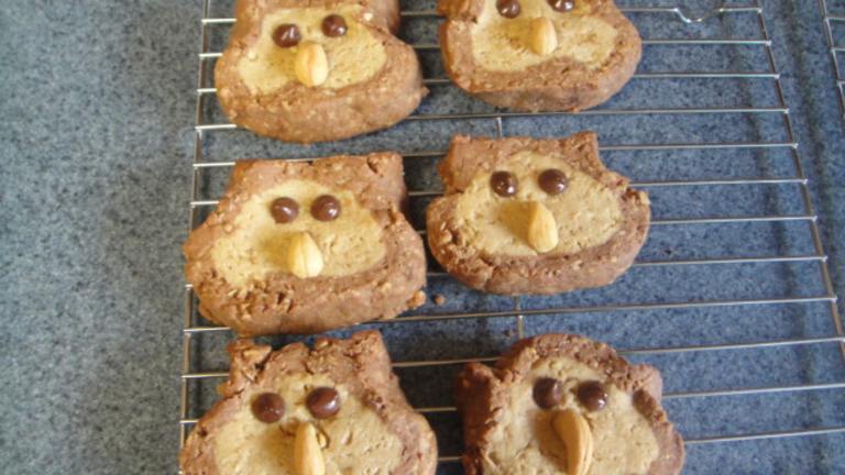 Sarah's Owl Cookies Created by Aly and Jacks MOM