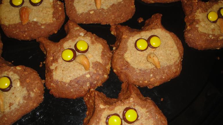 Sarah's Owl Cookies created by Aly and Jacks MOM