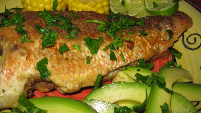 Fried Snapper With Avocado created by threeovens