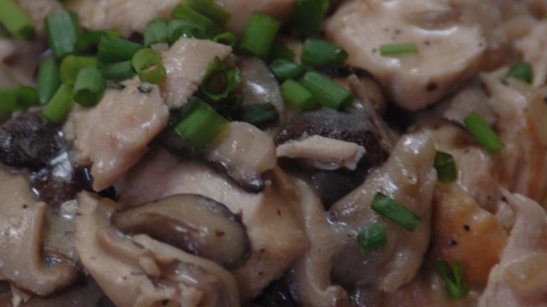 Chicken & Cream of Mushroom over Egg Noodles Created by Ingy1171