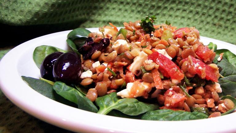 Baby Spinach and Lentil Salad Created by PaulaG