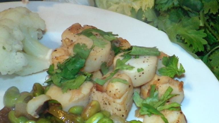 Scallops With Cilantro and Lime (Jack Nicholson) created by Bergy