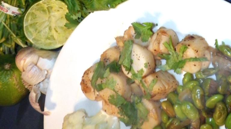 Scallops With Cilantro and Lime (Jack Nicholson) Created by Bergy